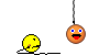 zippy 67